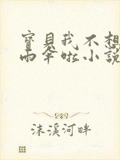 宝贝我不想带小雨伞啦小说封面