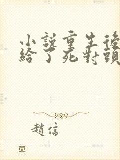 小说重生后我嫁给了死对头完整版封面