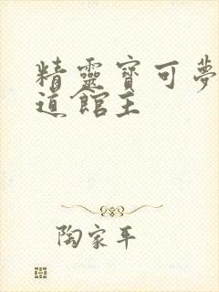 精灵宝可梦剑盾道馆主封面