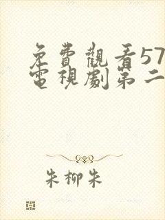 免费观看57集电视剧第二次也很美封面