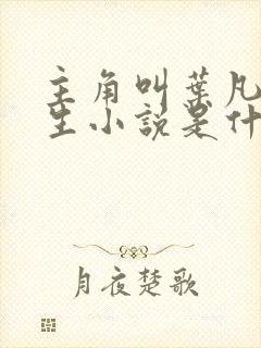 主角叫叶凡的重生小说是什么