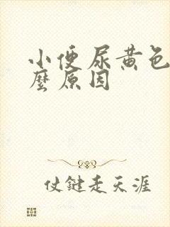 小便尿黄色是什么原因