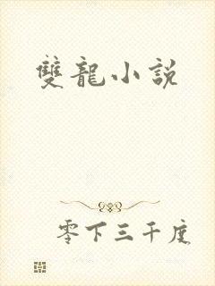 双龙小说