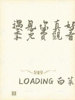 遇见你真好第二季免费观看完整版封面