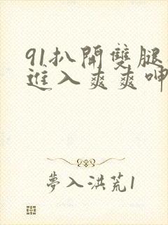 91扒开双腿猛进入爽爽呻吟