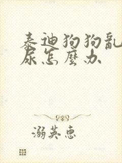 泰迪狗狗乱拉乱尿怎么办