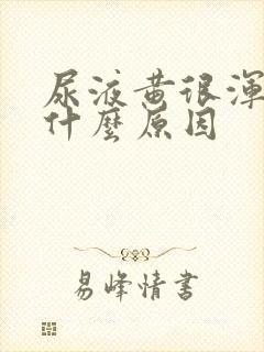 尿液黄很浑浊是什么原因封面