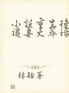 小说重生后渣总追妻火葬场下载