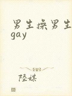 男生操男生视频gay