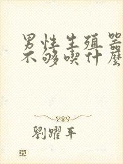 男性生殖器硬度不够吃什么调理