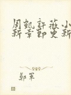 周凯许薇小说最新章节更新内容封面