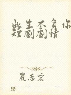 此生不负你情深短剧剧情封面