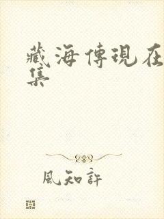 藏海传现在有几集