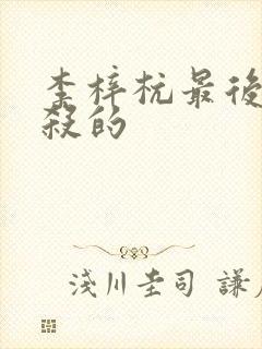 李梓杭最后被谁杀的封面