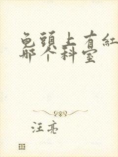 龟头上有红点看哪个科室