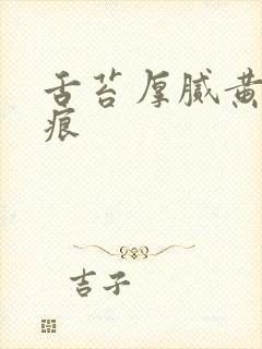 舌苔厚腻黄有齿痕