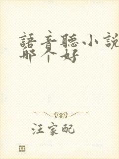 语音听小说软件哪个好封面