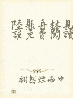 陆悬舟林见椿小说免费阅读最新章节