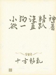 小狗没精神没食欲一直趴着吃什么药封面