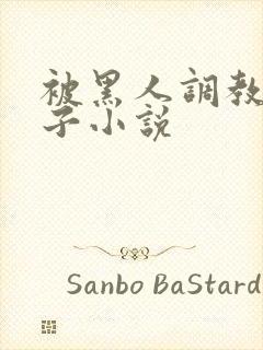 被黑人调教的妻子小说