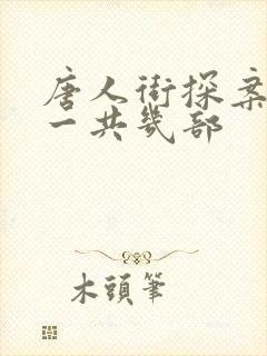 唐人街探案网剧一共几部