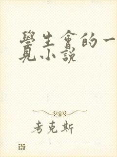 学生会的一己之见小说封面