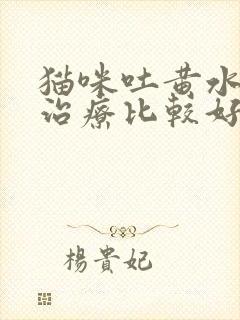 猫咪吐黄水怎么治疗比较好