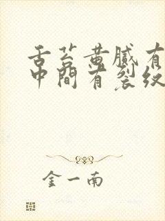 舌苔黄腻有齿痕中间有裂纹