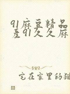 91麻豆精品国产91久久麻豆