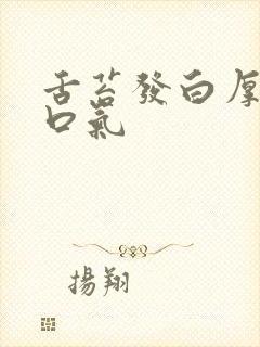 舌苔发白厚腻有口气