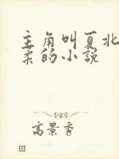 主角叫夏北许馨柔的小说