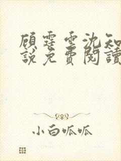 顾霆云沈知秋小说免费阅读全文最新章节封面