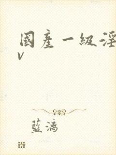 国产一级淫片av