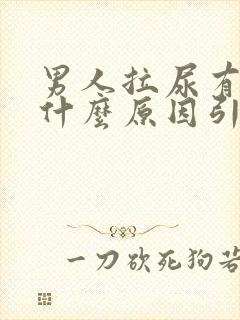 男人拉尿有血是什么原因引起的