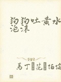 狗狗吐黄水,带泡沫