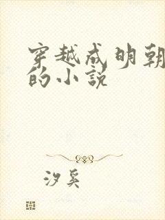 穿越成明朝皇帝的小说