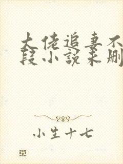 大佬追妻不择手段小说未删版完整