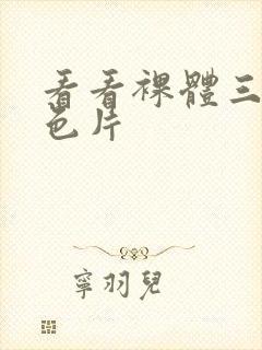 看看裸体三级黄色片