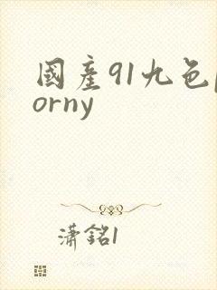 国产91九色porny封面