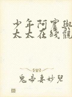 少年阿宾与房东太太在线观看