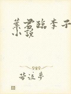 叶君临李子染的小说