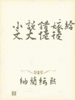 小说错嫁给年代文大佬后