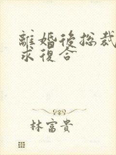 离婚后总裁哭着求复合封面