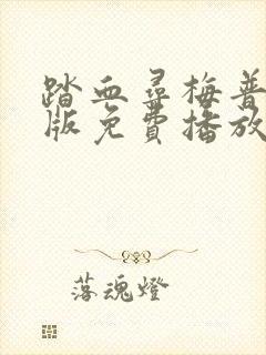 踏血寻梅普通话版免费播放