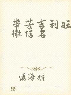 带芳吉利旺财的微信名