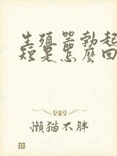 生殖器勃起时间短是怎么回事