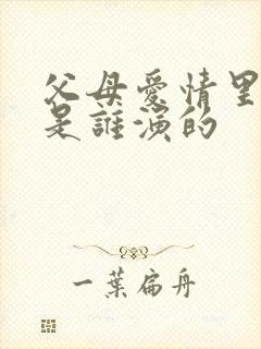 父母爱情里安欣是谁演的