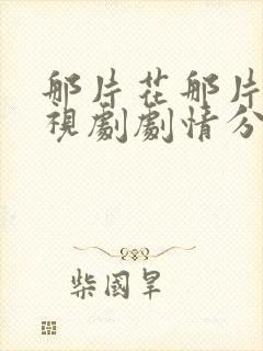 那片花那片海电视剧剧情分集介绍封面