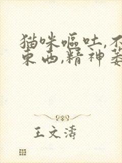 猫咪呕吐,不吃东西,精神萎靡