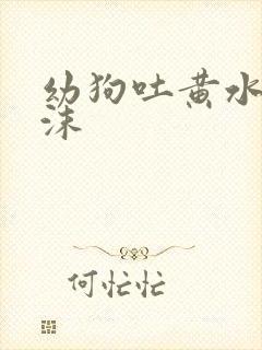 幼狗吐黄水带泡沫